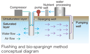 Flushing and bio-sparging method